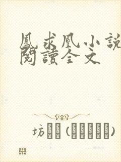 凤求凰小说免费阅读全文