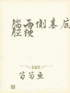 脑两侧基底节区腔梗