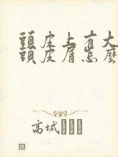 头皮上有大块的头皮屑怎么回事