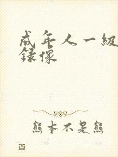 成年人一级黄色录像