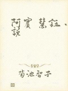 阿宾 慧钰 小说
