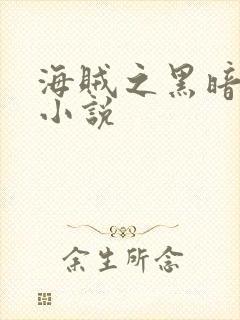 海贼之黑暗大将小说