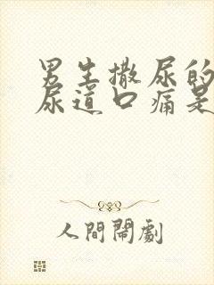 男生撒尿的时候尿道口痛是什么原因