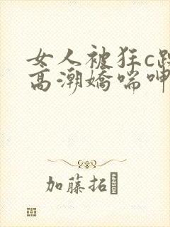 女人被狂c躁到高潮娇喘呻吟