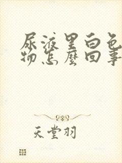 尿液里白色絮状物怎么回事