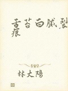 舌苔白腻裂纹齿痕封面