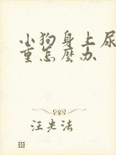 小狗身上尿骚味重怎么办封面