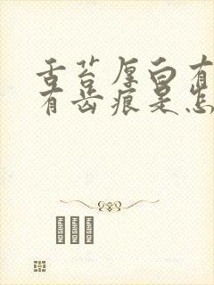 舌苔厚白有裂纹有齿痕是怎么调理