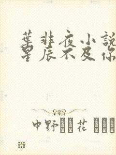 叶非夜小说亿万星辰不及你