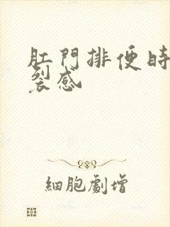 肛门排便时有撕裂感封面