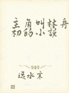 主角叫林舟许念初的小说