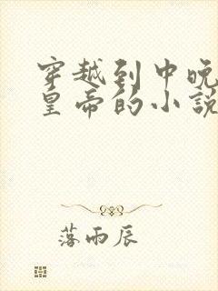 穿越到中晚唐当皇帝的小说封面