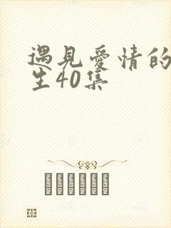 遇见爱情的利先生40集封面