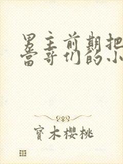 男主前期把女主当哥们的小说