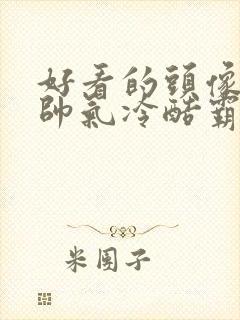 好看的头像男生帅气冷酷霸气真人