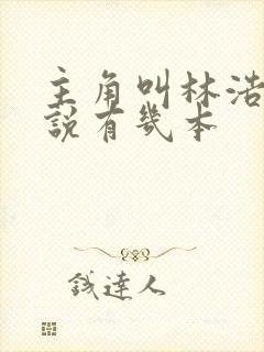 主角叫林浩的小说有几本