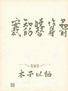 安知晓作品:总裁的替身前妻小说封面