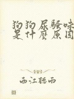 狗狗尿骚味很重是什么原因