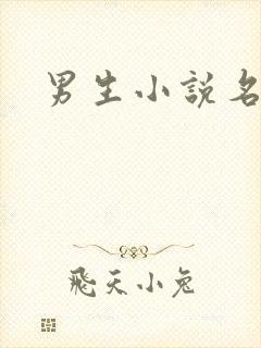 男生小说名字封面