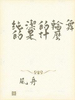 纯洁的轮舞曲讲的是什么