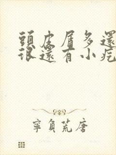 头皮屑多还痒的很还有小疙瘩