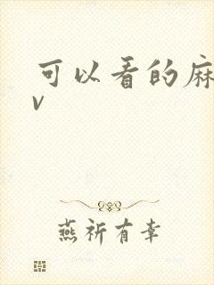 可以看的麻豆av