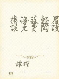 杨洛苏轻眉笔小说免费阅读封面