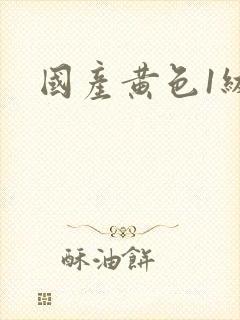 国产黄色1级片