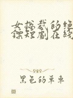 女总裁的绝世保镖短剧在线观看