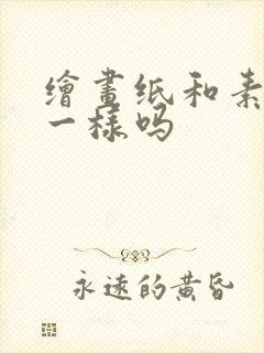 绘画纸和素描纸一样吗