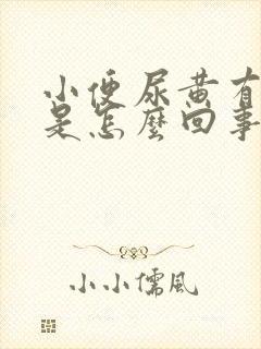 小便尿黄有异味是怎么回事封面