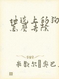 地毯上的狗尿味怎么去除