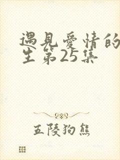 遇见爱情的利先生第25集