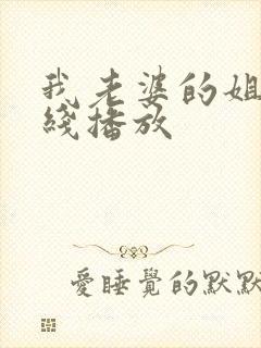 我老婆的姐姐在线播放