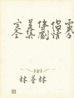 完美伴侣电视剧全集剧情分集介绍