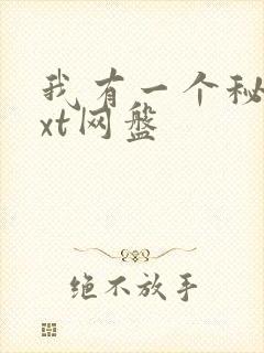 我有一个秘密txt网盘
