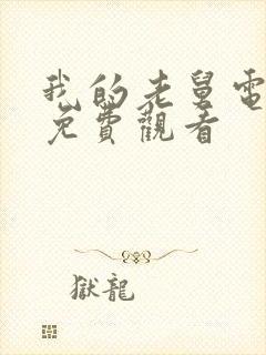 我的老舅电视剧免费观看封面