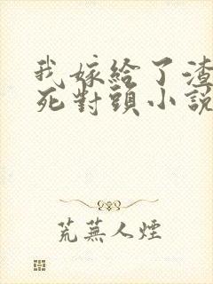 我嫁给了渣男的死对头小说免费阅读