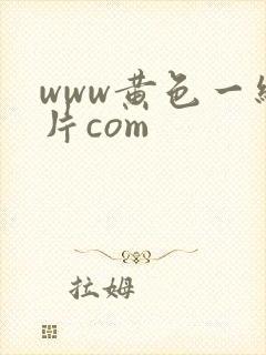 www黄色一级片com