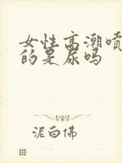 女性高潮喷出来的是尿吗