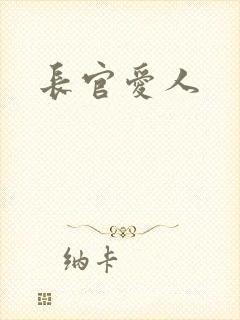 长官爱人封面