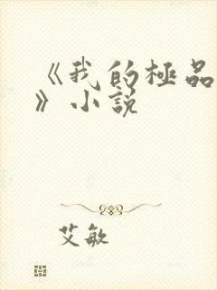 《我的极品小姨》小说