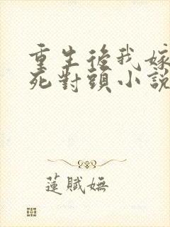 重生后我嫁给了死对头小说