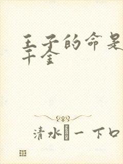 王子的命是恶役千金