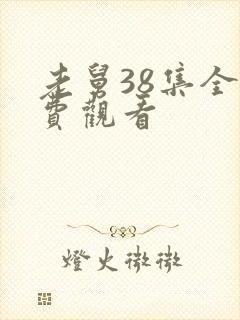 老舅38集全免费观看