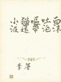 小猫呕吐白色粘液还带泡沫不吃东西封面