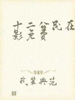 十二公民在线电影免费