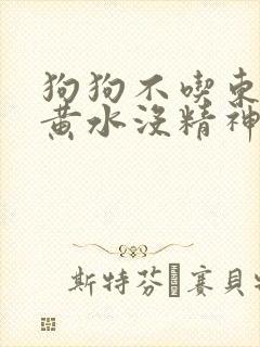 狗狗不吃东西吐黄水没精神怎么办