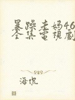 暴躁老妈46集全集电视剧在线观看