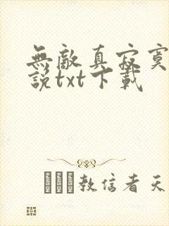 无敌真寂寞 小说txt下载